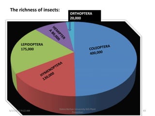 The richness of insects:
LEPIDOPTERA
175,000
ORTHOPTERA
20,000
6/17/2022 9:22 AM 43
Debre Berhan University SGS Plant
Protection
 