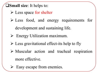 Small size: It helps to:
 Less space for shelter
 Less food, and energy requirements for
development and sustaining life.
 Energy Utilization maximum.
 Less gravitational effect-its help to fly
 Muscular action and tracheal respiration
more effective.
 Easy escape from enemies.
 