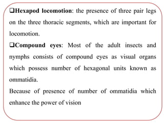 Hexapod locomotion: the presence of three pair legs
on the three thoracic segments, which are important for
locomotion.
Compound eyes: Most of the adult insects and
nymphs consists of compound eyes as visual organs
which possess number of hexagonal units known as
ommatidia.
Because of presence of number of ommatidia which
enhance the power of vision
 
