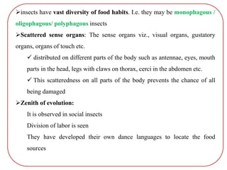 insects have vast diversity of food habits. I.e. they may be monophagous /
oligophagous/ polyphagous insects
Scattered sense organs: The sense organs viz., visual organs, gustatory
organs, organs of touch etc.
 distributed on different parts of the body such as antennae, eyes, mouth
parts in the head, legs with claws on thorax, cerci in the abdomen etc.
 This scatteredness on all parts of the body prevents the chance of all
being damaged
Zenith of evolution:
It is observed in social insects
Division of labor is seen
They have developed their own dance languages to locate the food
sources
 