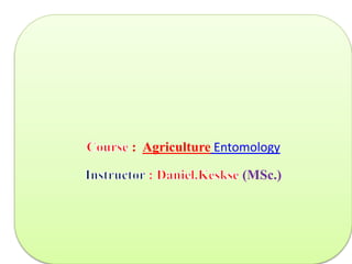 : Agriculture Entomology
(MSc.)
 