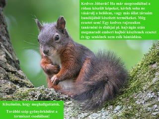 Kedves Jóbarát! Ha már megcsodáltad a rólam készült képeket, kérlek soha ne vásárolj a belőlem, vagy más állat társaim bundájából készített termékeket. Még ecsetet sem! Egy kedves rajzszakos tanárnéni és diákjai pl. hajvágás után megmaradt emberi hajból készítenek ecsetet és így senkinek nem esik bántódása.  Köszönöm, hogy meghallgattatok.  További szép gyönyörködést a természet csodáiban! 