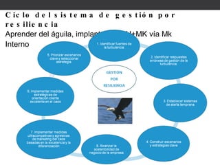 Ciclo del sistema de gestión por resiliencia Aprender del águila, implantar RRHH+MK vía Mk Interno 