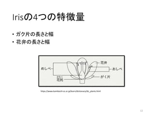 Irisの4つの特徴量
• ガク片の長さと幅
• 花弁の長さと幅
12
https://www.kamikochi-vc.or.jp/learn/dictionary/dic_plants.html
 