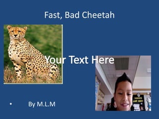 Fast, Bad Cheetah         By M.L.M Your Text Here 