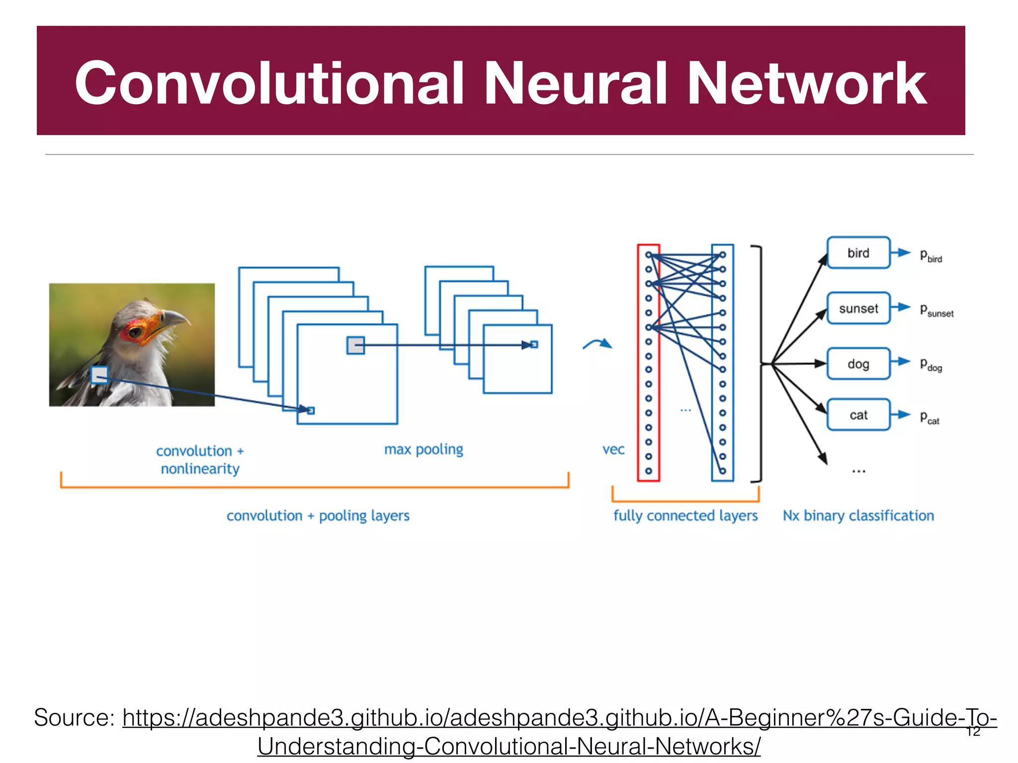 Convolutional Neural Network
12
Source: https://adeshpande3.github.io/adeshpande3.github.io/A-Beginner%27s-Guide-To-
Understanding-Convolutional-Neural-Networks/
 
