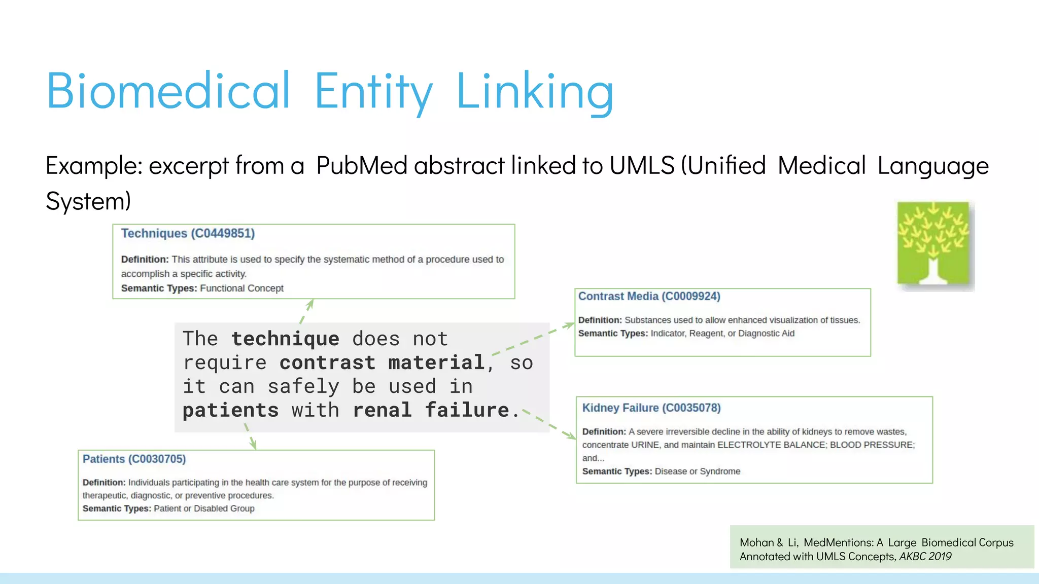 Biomedical Entity Linking - Introduction, approaches, challenges