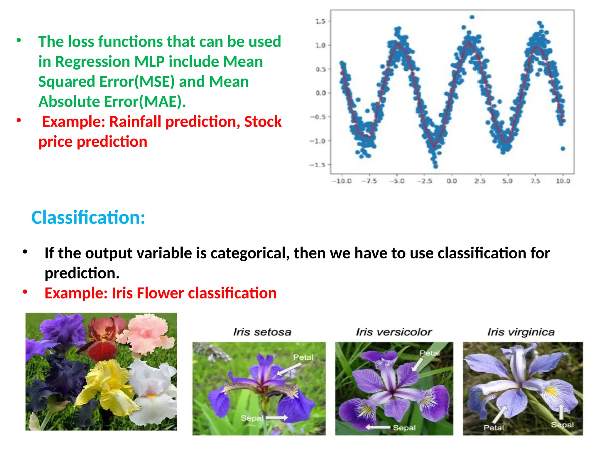 &bull; The loss functions that can be used
in Regression MLP include Mean
Squared Error(MSE) and Mean
Absolute Error(MAE).
&bull; Example: Rainfall prediction, Stock
price prediction
Classification:
&bull; If the output variable is categorical, then we have to use classification for
prediction.
&bull; Example: Iris Flower classification
 