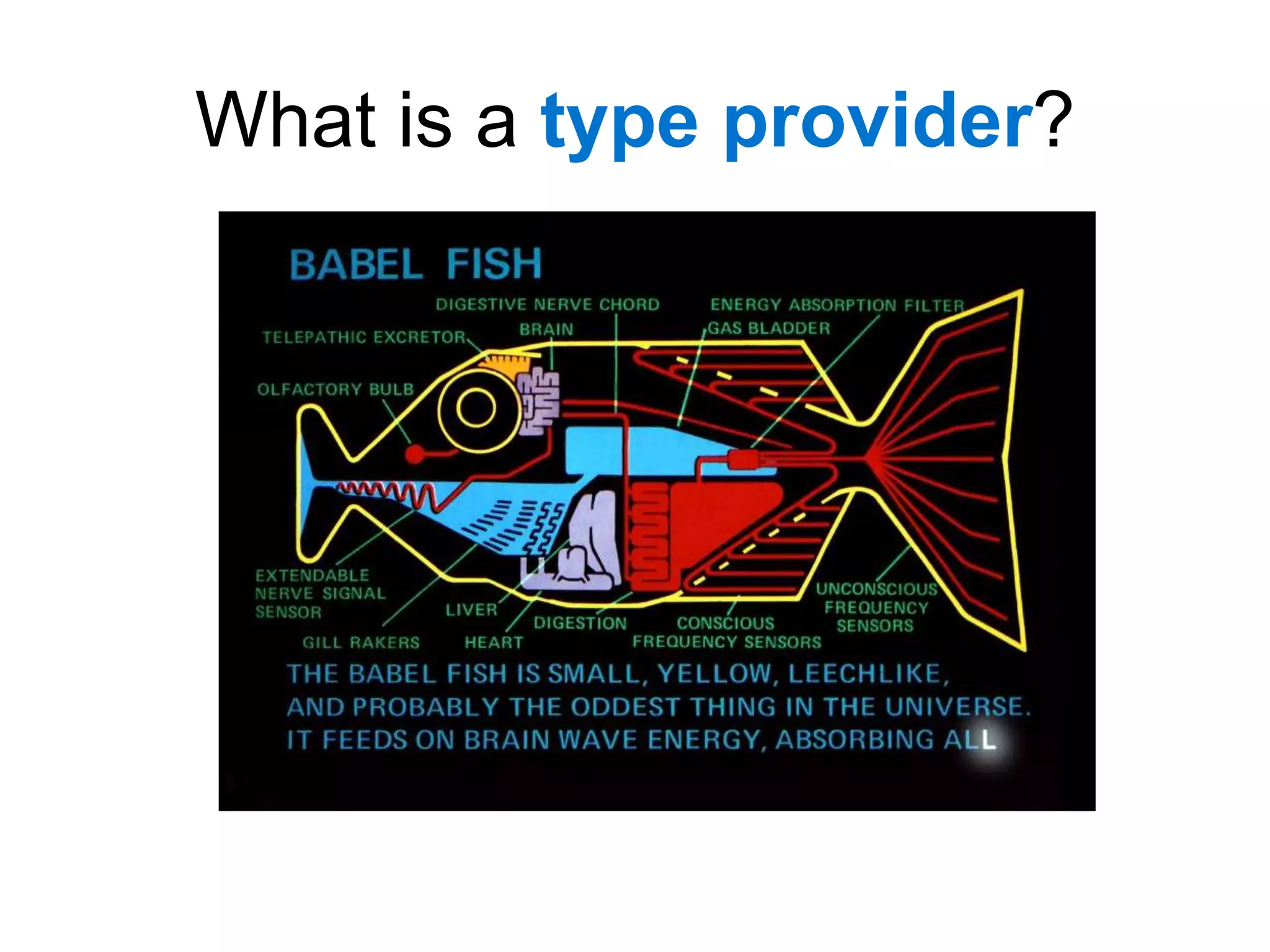 What is a type provider?
 