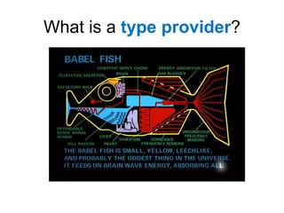 What is a type provider?
 