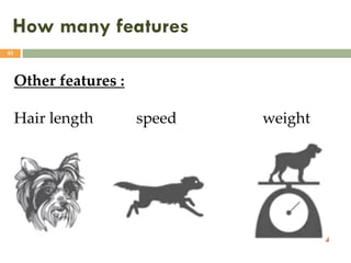 How many features
45
Other features :
Hair length speed weight
 