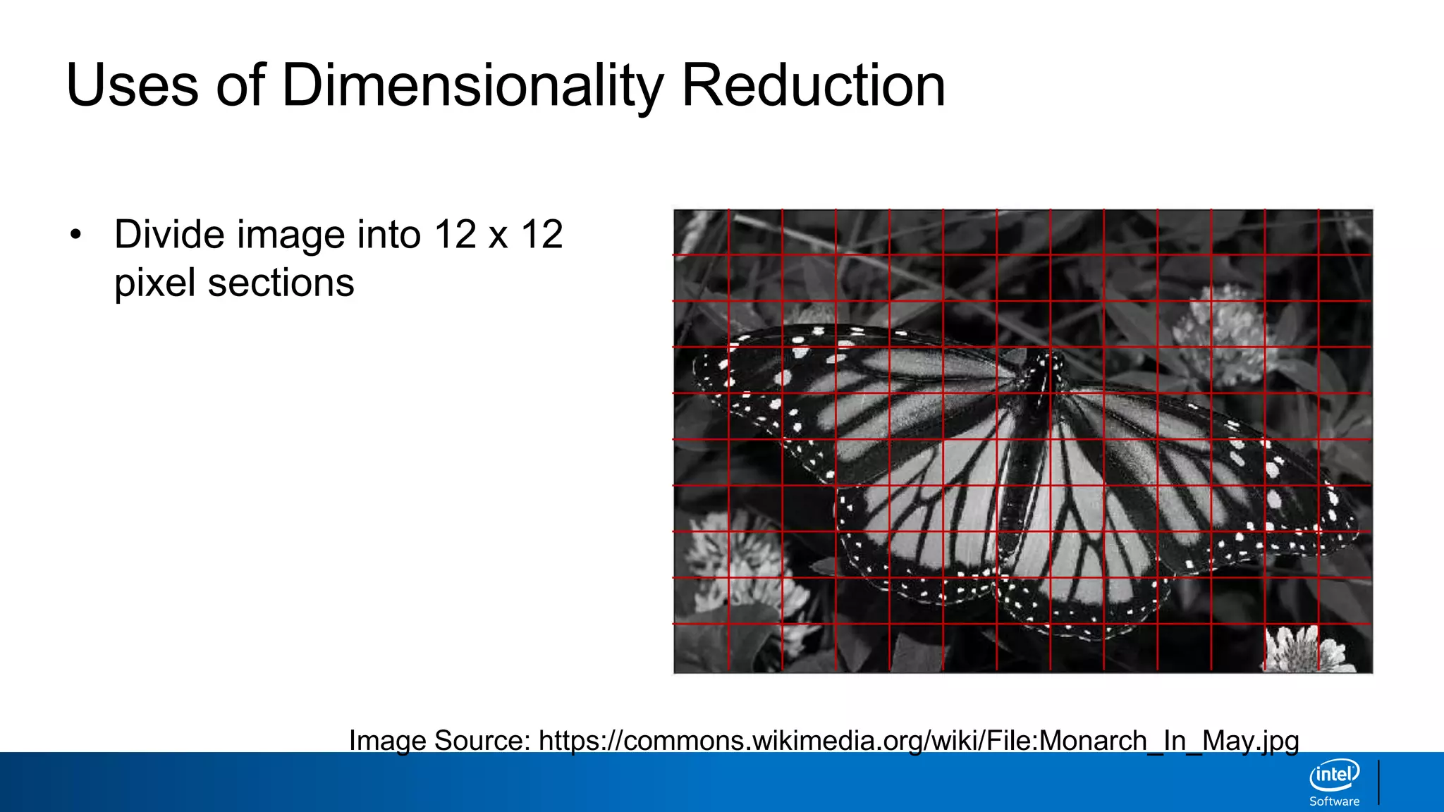 Uses of Dimensionality Reduction
• Divide image into 12 x 12
pixel sections
• Flatten section to create row
of data with 144 features
• Perform PCA on all data
points
Image Source: https://commons.wikimedia.org/wiki/File:Monarch_In_May.jpg
 