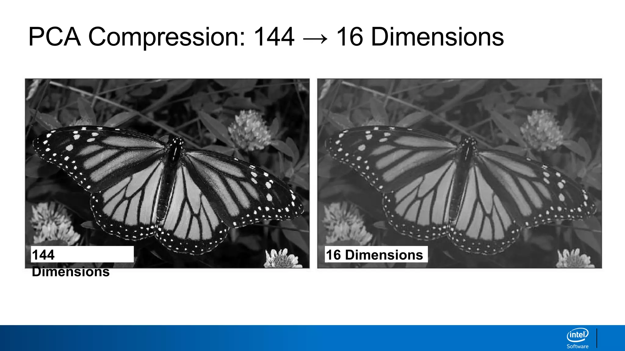 PCA Compression: 144 → 16 Dimensions
144
Dimensions
16 Dimensions
 