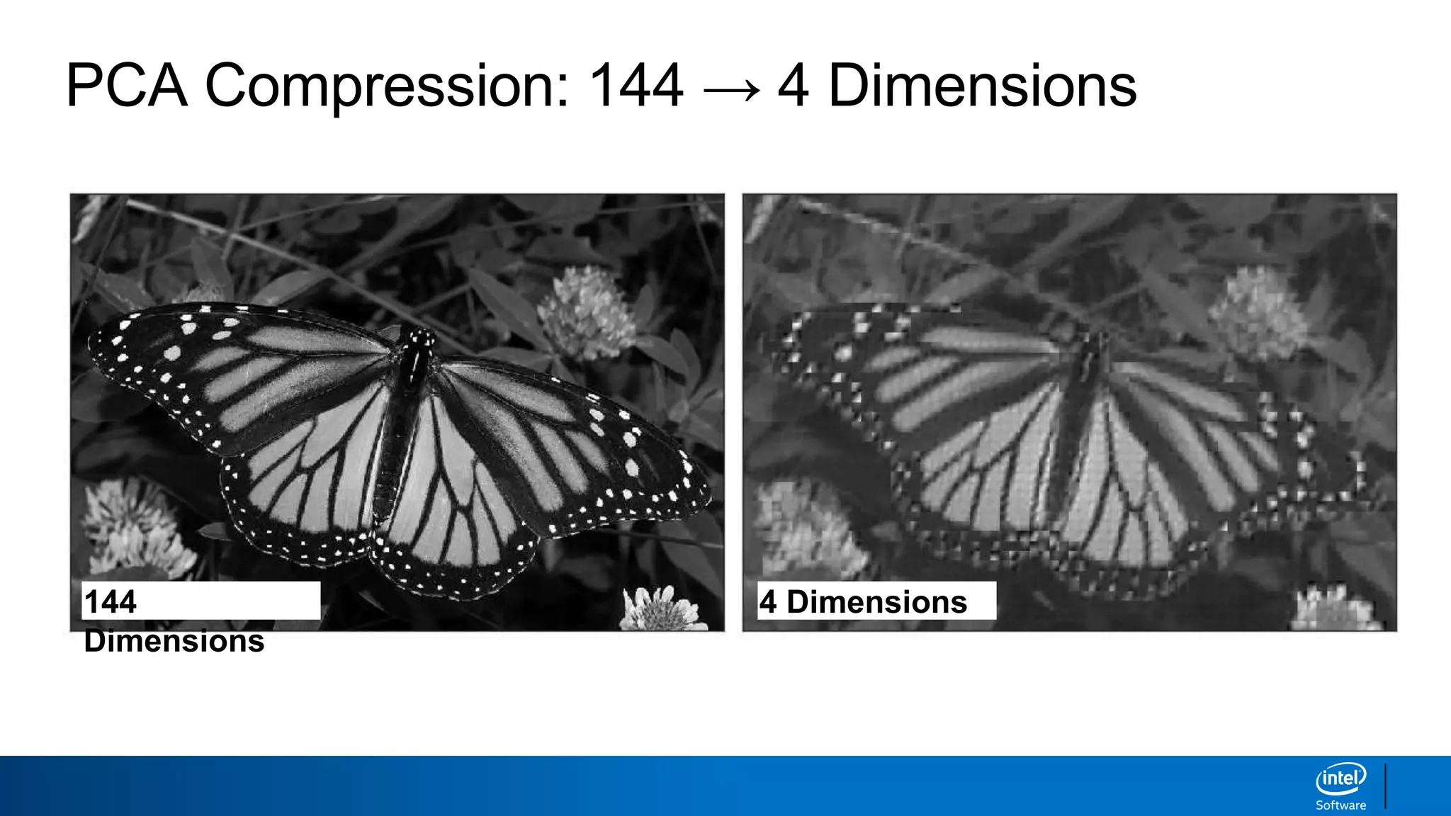 PCA Compression: 144 → 4 Dimensions
144
Dimensions
4 Dimensions
 