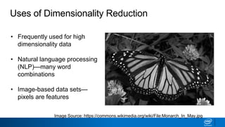 Uses of Dimensionality Reduction
Image Source: https://commons.wikimedia.org/wiki/File:Monarch_In_May.jpg
• Frequently used for high
dimensionality data
• Natural language processing
(NLP)—many word
combinations
• Image-based data sets—
pixels are features
 