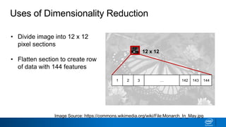 Uses of Dimensionality Reduction
• Divide image into 12 x 12
pixel sections
• Flatten section to create row
of data with 144 features
• Perform PCA on all data
points
Image Source: https://commons.wikimedia.org/wiki/File:Monarch_In_May.jpg
12 x 12
1 2 3 … 142 143 144
 