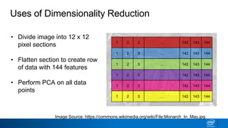 Uses of Dimensionality Reduction
• Divide image into 12 x 12
pixel sections
• Flatten section to create row
of data with 144 features
• Perform PCA on all data
points
Image Source: https://commons.wikimedia.org/wiki/File:Monarch_In_May.jpg
1 2 3 … 142 143 144
1 2 3 … 142 143 144
1 2 3 … 142 143 144
1 2 3 … 142 143 144
1 2 3 … 142 143 144
1 2 3 … 142 143 144
 
