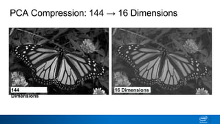 PCA Compression: 144 → 16 Dimensions
144
Dimensions
16 Dimensions
 