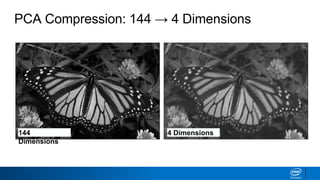PCA Compression: 144 → 4 Dimensions
144
Dimensions
4 Dimensions
 