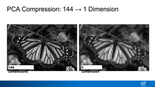 PCA Compression: 144 → 1 Dimension
144
Dimensions
1
Dimension
 