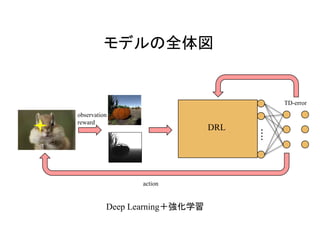 モデルの全体図
・・・・
DRL
observation
reward
action
Deep Learning＋強化学習
TD-error
 