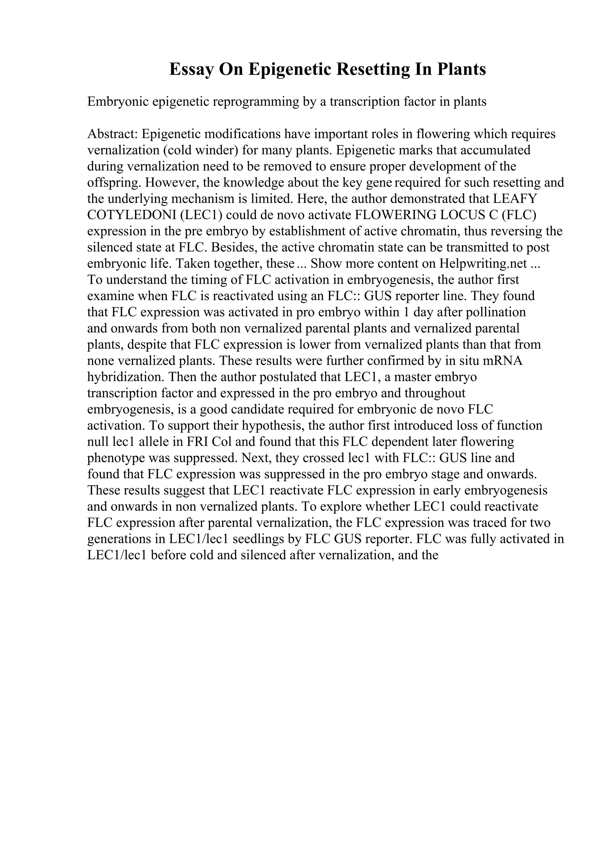 Essay On Epigenetic Resetting In Plants
Embryonic epigenetic reprogramming by a transcription factor in plants
Abstract: Epigenetic modifications have important roles in flowering which requires
vernalization (cold winder) for many plants. Epigenetic marks that accumulated
during vernalization need to be removed to ensure proper development of the
offspring. However, the knowledge about the key gene required for such resetting and
the underlying mechanism is limited. Here, the author demonstrated that LEAFY
COTYLEDONI (LEC1) could de novo activate FLOWERING LOCUS C (FLC)
expression in the pre embryo by establishment of active chromatin, thus reversing the
silenced state at FLC. Besides, the active chromatin state can be transmitted to post
embryonic life. Taken together, these... Show more content on Helpwriting.net ...
To understand the timing of FLC activation in embryogenesis, the author first
examine when FLC is reactivated using an FLC:: GUS reporter line. They found
that FLC expression was activated in pro embryo within 1 day after pollination
and onwards from both non vernalized parental plants and vernalized parental
plants, despite that FLC expression is lower from vernalized plants than that from
none vernalized plants. These results were further confirmed by in situ mRNA
hybridization. Then the author postulated that LEC1, a master embryo
transcription factor and expressed in the pro embryo and throughout
embryogenesis, is a good candidate required for embryonic de novo FLC
activation. To support their hypothesis, the author first introduced loss of function
null lec1 allele in FRI Col and found that this FLC dependent later flowering
phenotype was suppressed. Next, they crossed lec1 with FLC:: GUS line and
found that FLC expression was suppressed in the pro embryo stage and onwards.
These results suggest that LEC1 reactivate FLC expression in early embryogenesis
and onwards in non vernalized plants. To explore whether LEC1 could reactivate
FLC expression after parental vernalization, the FLC expression was traced for two
generations in LEC1/lec1 seedlings by FLC GUS reporter. FLC was fully activated in
LEC1/lec1 before cold and silenced after vernalization, and the
 