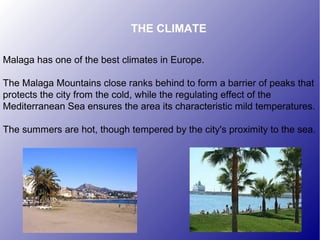Malaga has one of the best climates in Europe.
The Malaga Mountains close ranks behind to form a barrier of peaks that
protects the city from the cold, while the regulating effect of the
Mediterranean Sea ensures the area its characteristic mild temperatures.
The summers are hot, though tempered by the city's proximity to the sea.
THE CLIMATE
 