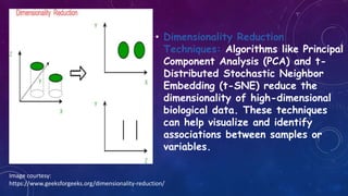 • Dimensionality Reduction
Techniques: Algorithms like Principal
Component Analysis (PCA) and t-
Distributed Stochastic Neighbor
Embedding (t-SNE) reduce the
dimensionality of high-dimensional
biological data. These techniques
can help visualize and identify
associations between samples or
variables.
Image courtesy:
https://www.geeksforgeeks.org/dimensionality-reduction/
 