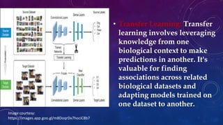 • Transfer Learning: Transfer
learning involves leveraging
knowledge from one
biological context to make
predictions in another. It's
valuable for finding
associations across related
biological datasets and
adapting models trained on
one dataset to another.
Image courtesy:
https://images.app.goo.gl/m8DoqrDx7hociC8b7
 