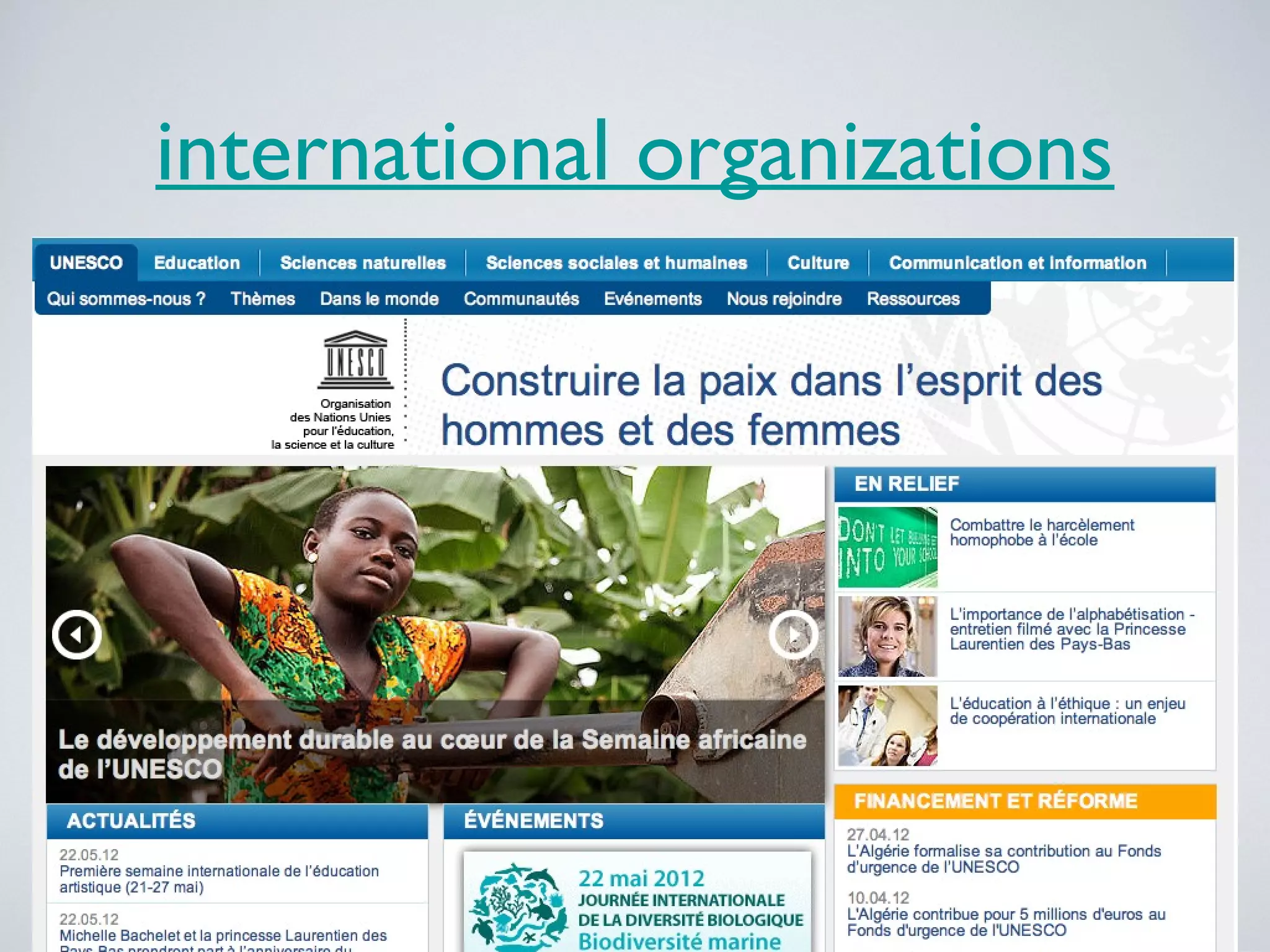 international organizations

 