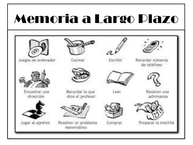 Ejemplos De Memoria A Largo Plazo
