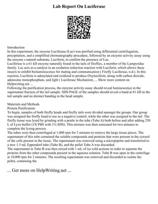 Lab Report On Luciferase
Introduction
In this experiment, the enzyme Luciferase (Luc) was purified using differential centrifugation,
precipitation, and a simplified chromatography procedure, followed by an enzyme activity assay using
the enzyme s natural substrate, Luciferin, to confirm the presence of Luc.
Luciferase is a 61 kD enzyme naturally found in the tails of fireflies, a member of the Lampyridae
family. Luc acts as a catalyst in an oxidation reduction reaction with Luciferin, which allows these
insects to exhibit bioluminescence for mating and communication ( Firefly Luciferase, n.d.). In this
reaction, Luciferin is adenylated and oxidized to produce Oxyluciferin, along with carbon dioxide,
adenosine monophosphate, and light ( Luciferase Mechanism, ... Show more content on
Helpwriting.net ...
Following the purification process, the enzyme activity assay should reveal luminescence in the
supernatant fraction of the tail sample. SDS PAGE of the samples should reveal a band at 61 kD in the
tail sample and no distinct banding in the head sample.
Materials and Methods
Protein Purification:
To begin, samples of both firefly heads and firefly tails were divided amongst the groups. Our group
was assigned the firefly head to use as a negative control, while the other was assigned to the tail. The
firefly tissue was lysed by grinding with a pestle in the tube (Tube A) both before and after adding 250
L of Lysis buffer (1X PBS with 1% SDS). This mixture was then sonicated for two minutes to
complete the lysing process.
The tubes were then centrifuged at 1,000 rpm for 3 minutes to remove the large tissue pieces. The
supernatant of this tube contained the soluble compounds and proteins that were present in the cytosol
of the cells present in the tissue. The supernatant was removed using a micropipette and transferred to
a new 1.5 mL Eppendorf tube (Tube B), and the pellet Tube A was discarded.
The supernatant in Tube B was then mixed with 1 mL of ice cold acetone in order to separate the
proteins from the other compounds present in the aqueous solution. Tube B was spun in the centrifuge
at 10,000 rpm for 2 minutes. The resulting supernatant was removed and discarded to isolate the
pellet, containing the
... Get more on HelpWriting.net ...
 