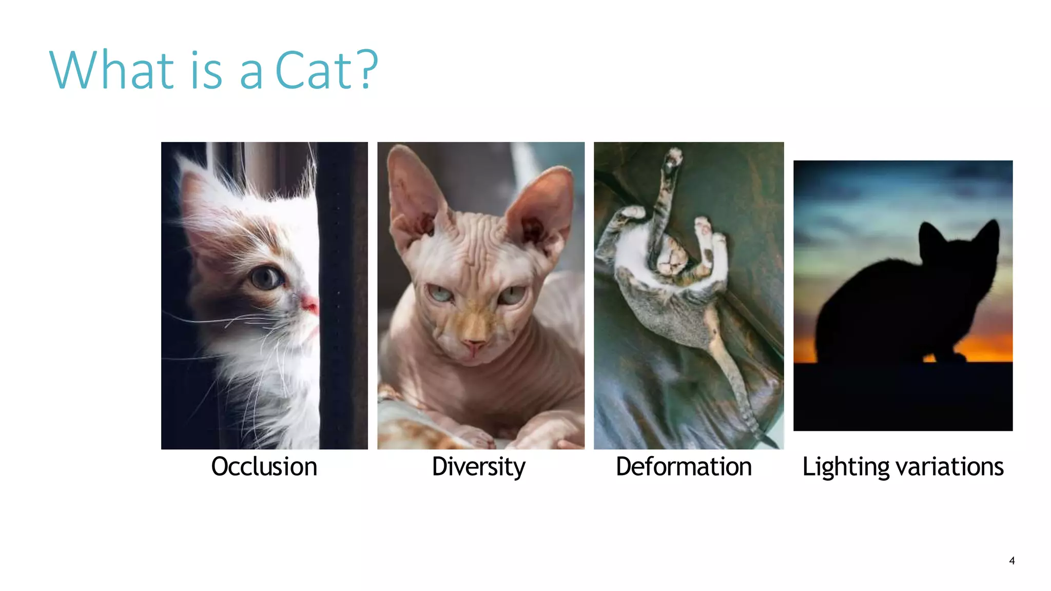 What is aCat?
Occlusion Diversity Deformation Lighting variations
4
 