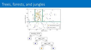 Trees, forests, and jungles
 