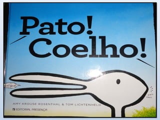 Pato - Coelho