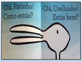Pato - Coelho