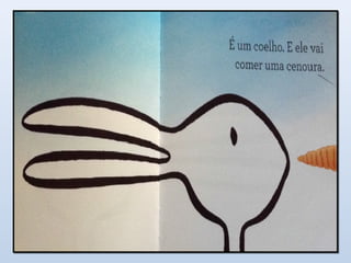 Pato - Coelho