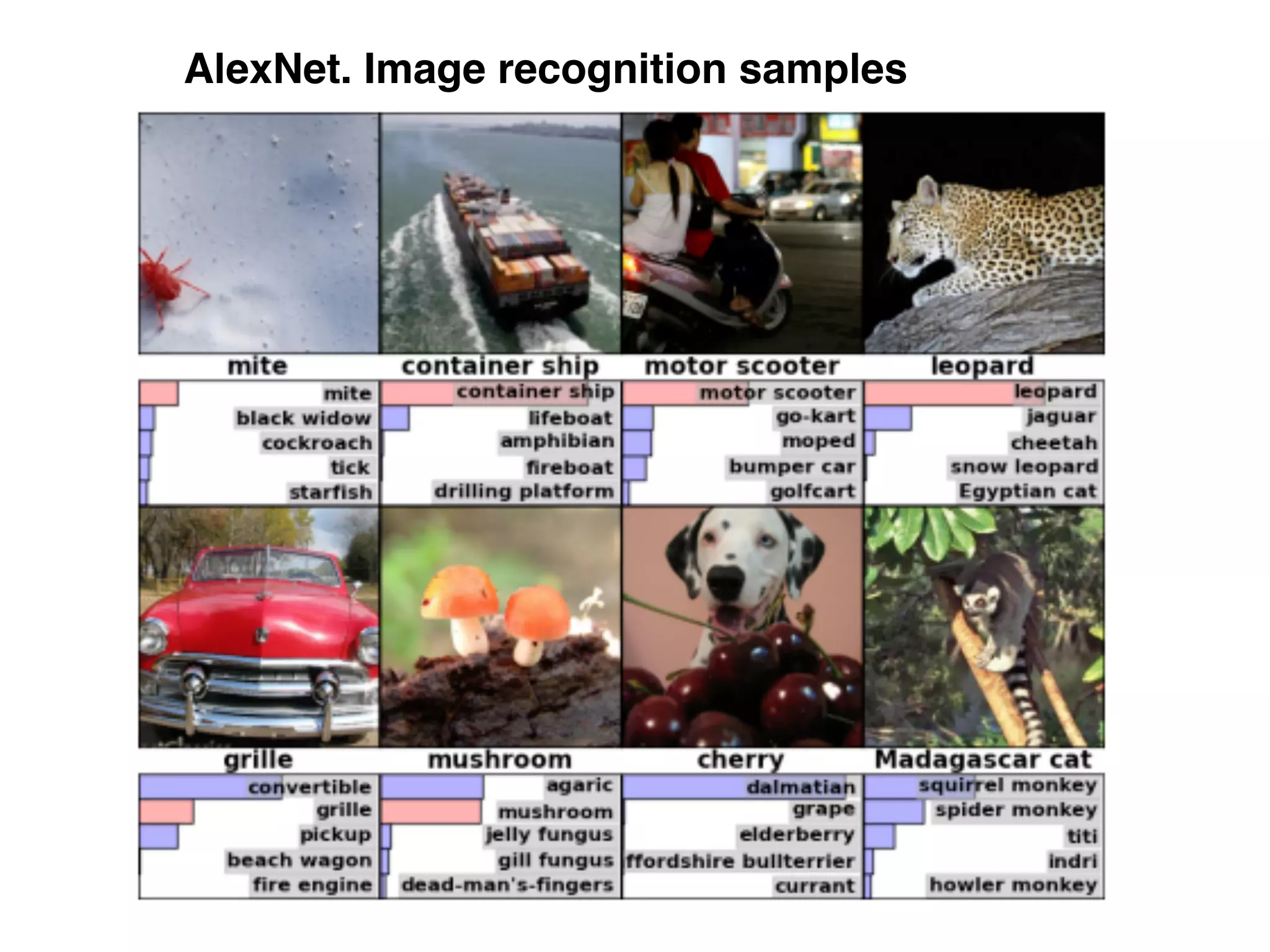 AlexNet. Image recognition samples
 