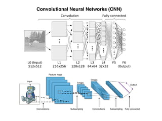 Convolutional Neural Networks (CNN)
 