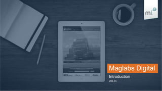 Maglabs Digital
Introduction
V01.01

 