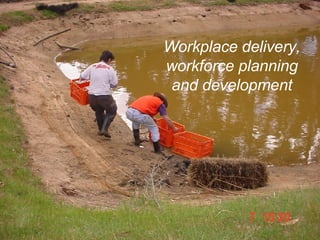 Workplace delivery, workforce planning and development 