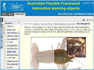 Australian Flexible Framework  Interactive learning objects   