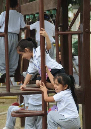 MARCO LEGAL EDUCATIVO
268
 