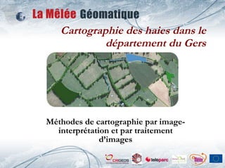 Cartographie des haies dans le département du Gers Méthodes de cartographie par image-interprétation et par traitement d’images 
