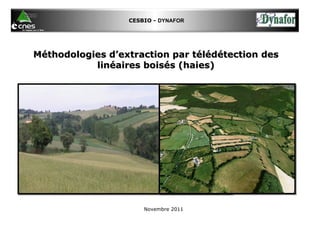 Méthodologies d’extraction par télédétection des linéaires boisés (haies) CESBIO -  DYNAFOR Novembre 2011 