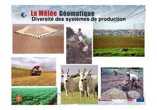 Diversité des systèmes de production
 