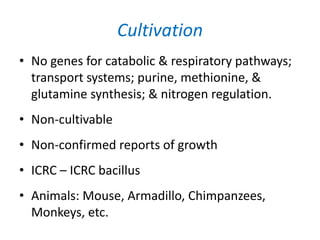 Cultivation
• No genes for catabolic & respiratory pathways;
transport systems; purine, methionine, &
glutamine synthesis; & nitrogen regulation.
• Non-cultivable
• Non-confirmed reports of growth
• ICRC – ICRC bacillus
• Animals: Mouse, Armadillo, Chimpanzees,
Monkeys, etc.
 