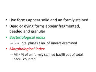 • Live forms appear solid and uniformly stained.
• Dead or dying forms appear fragmented,
beaded and granular
• Bacteriological index
– BI = Total pluses / no. of smears examined
• Morphological index
– MI = % of uniformly stained bacilli out of total
bacilli counted
 
