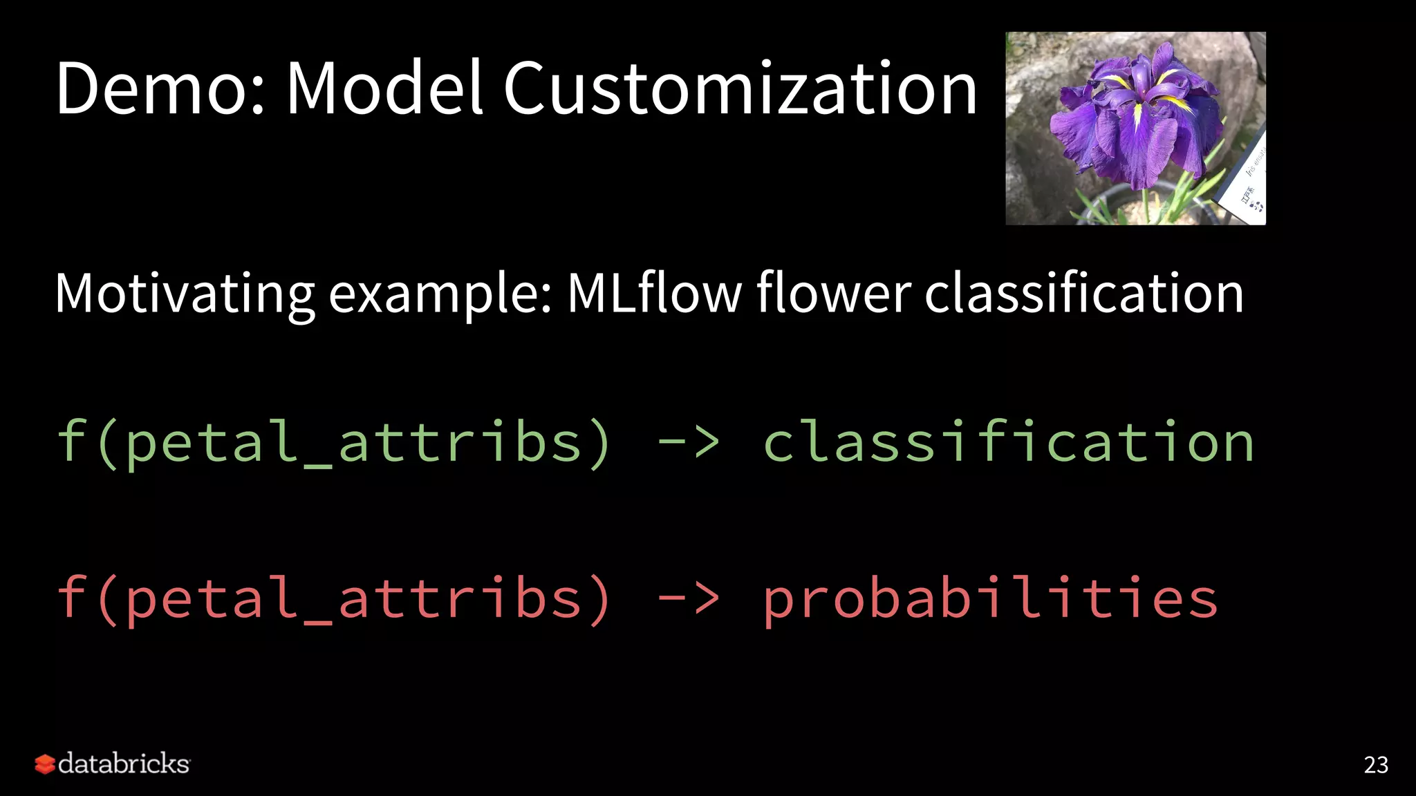 Demo: Model Customization
Motivating example: MLflow flower classification
f(petal_attribs) -> classification
f(petal_attribs) -> probabilities
23
 