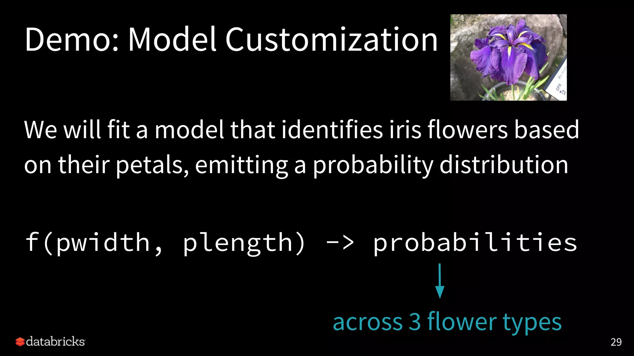 Demo: Model Customization
We will fit a model that identifies iris flowers based
on their petals, emitting a probability distribution
f(pwidth, plength) -> probabilities
29
across 3 flower types
 